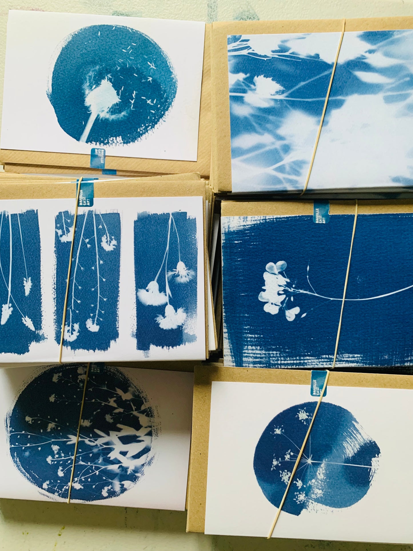 Pack of 3 Honesty Stem Cyanotype Cards - FOR THE PRICE OF ONE