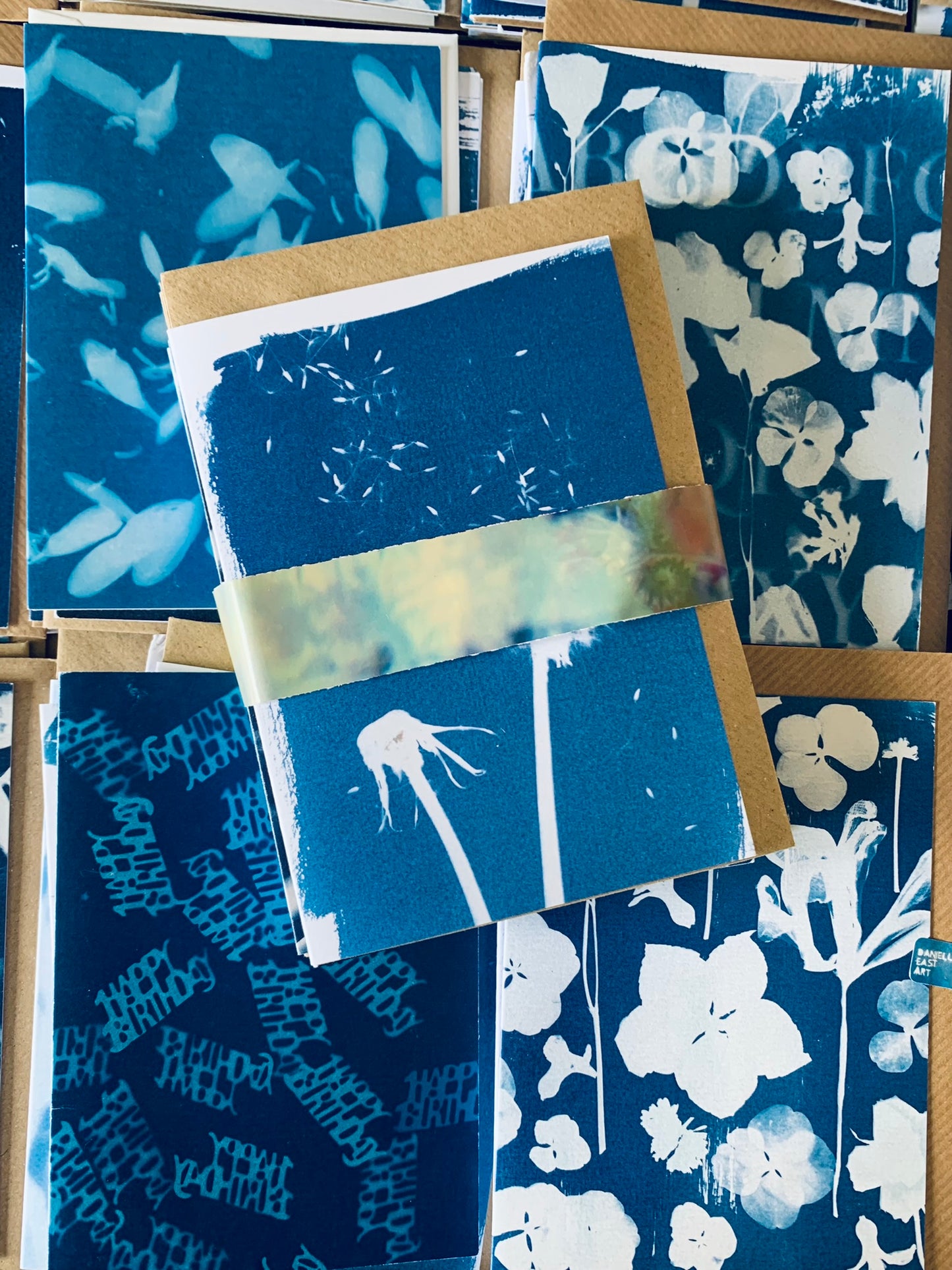 Pack of 12 Lucky Dip Cyanotype Cards