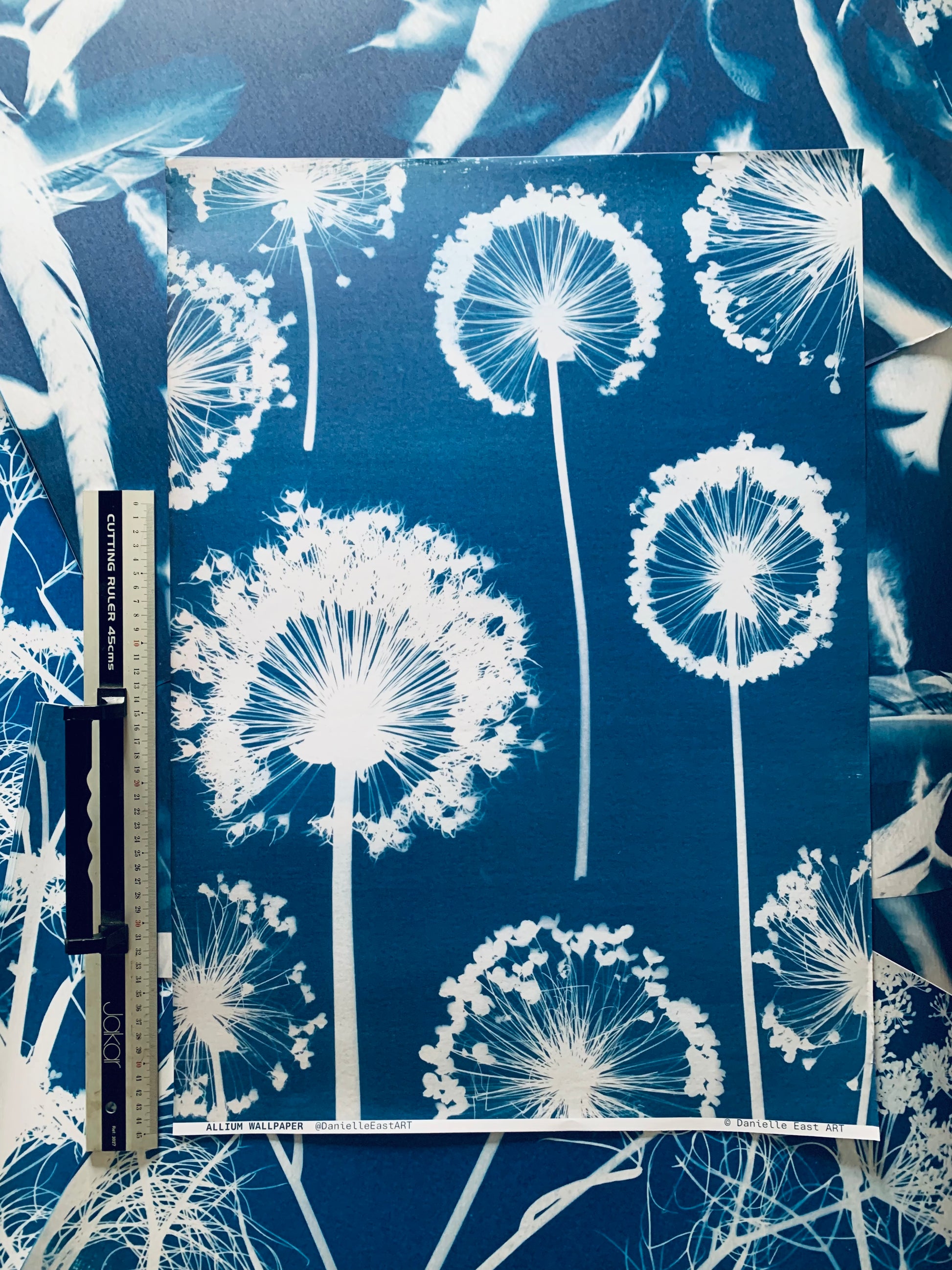 Scale image with ruler of allium wallpaper cyanotype