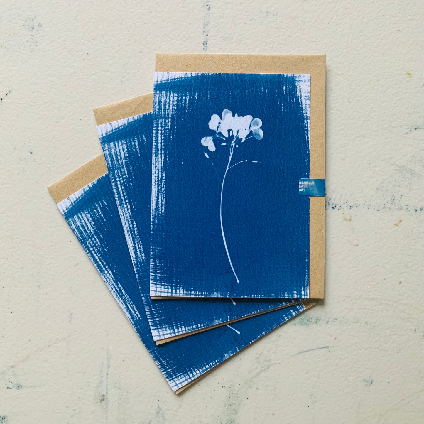 Pack of 3 Honesty Stem Cyanotype Cards - FOR THE PRICE OF ONE