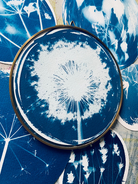 Fuzzy Allium - Brass Framed Circle Cyanotype - 21.5cm Diameter