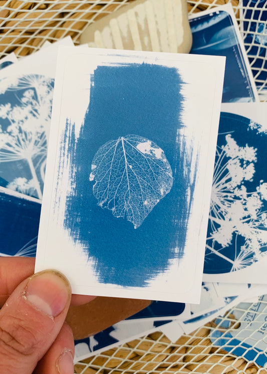 Leaf Skeleton - Rectangle Sticker