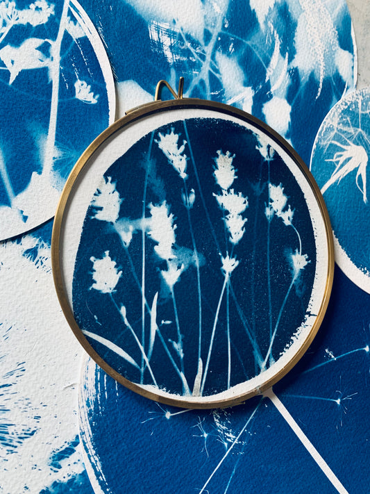 Lavender Layers - Brass Framed Circle Cyanotype - 16cm Diameter - SALE