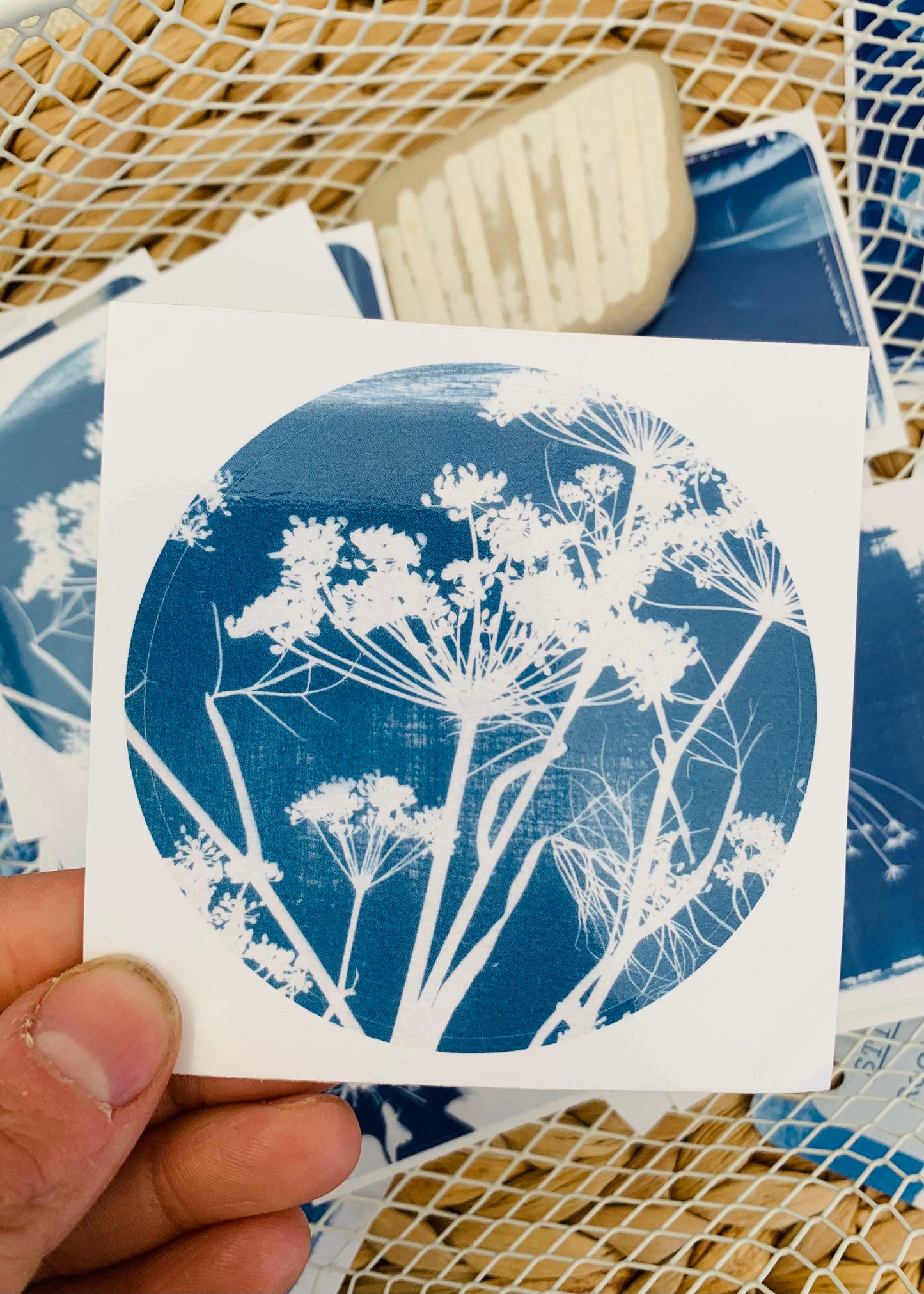 Fennel - Round Sticker