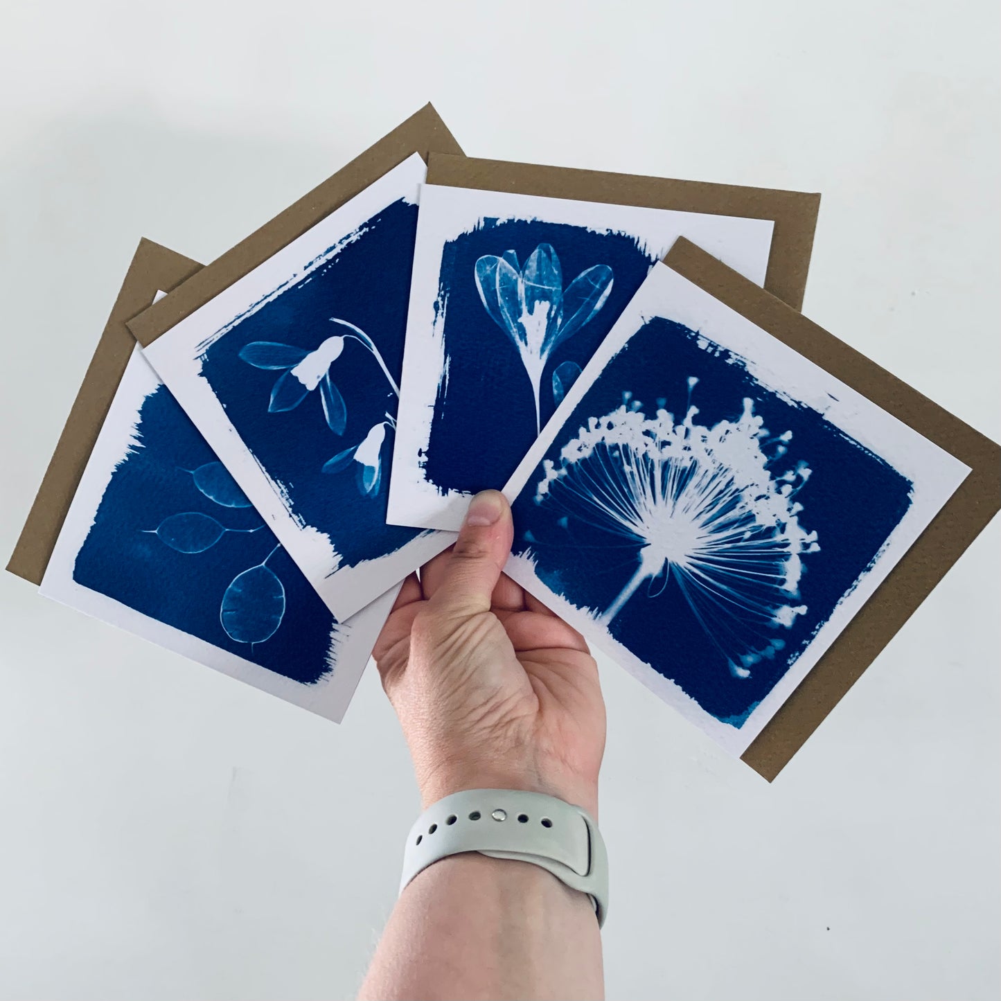 Crocus - Cyanotype - Square Blank Card