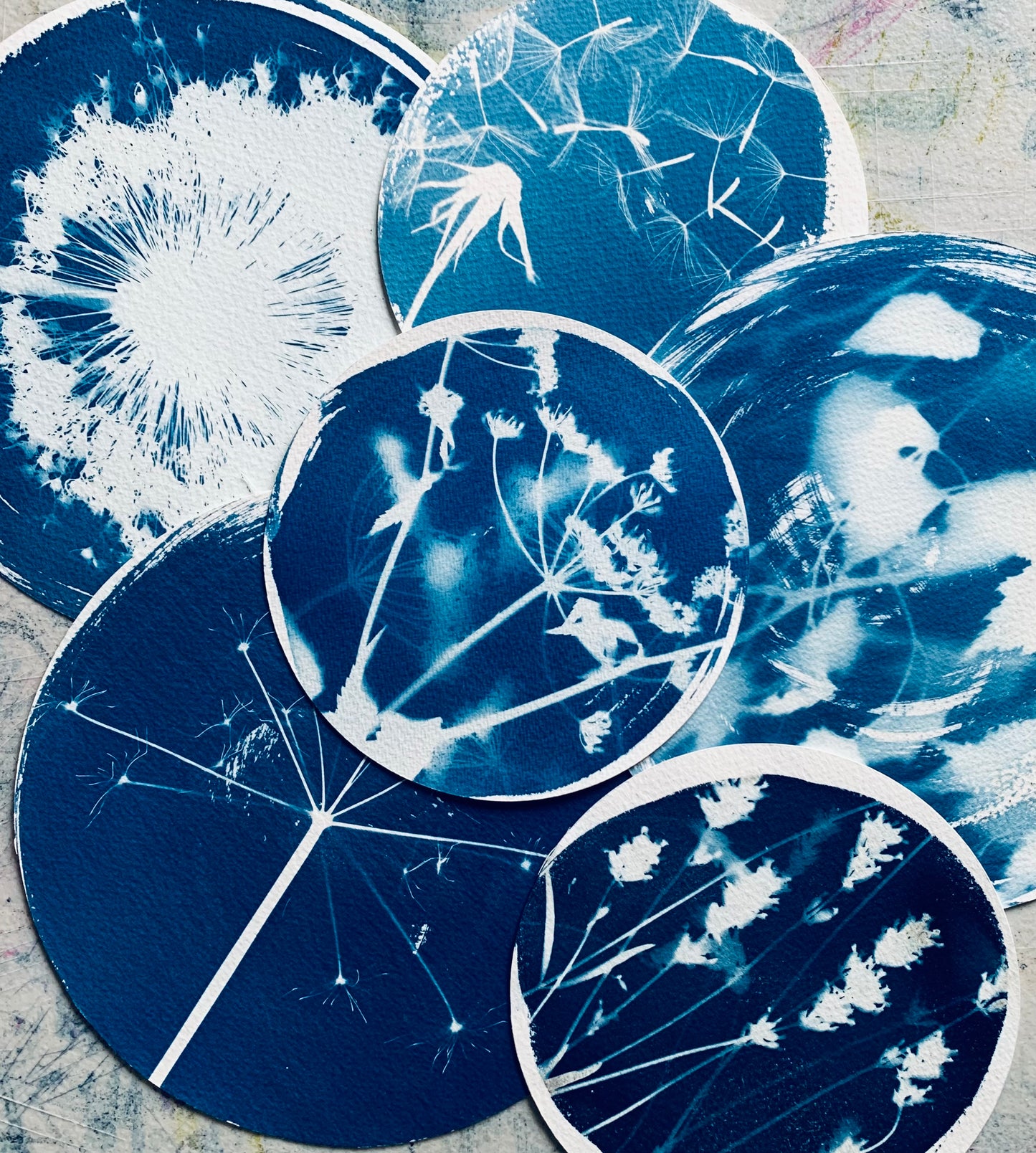 Fuzzy Allium - Brass Framed Circle Cyanotype - 21.5cm Diameter