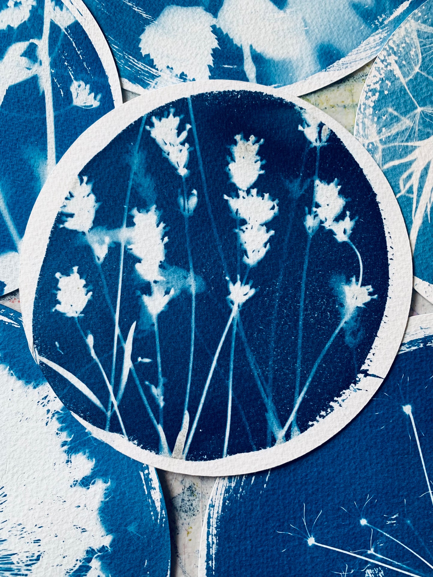 Lavender Layers - Brass Framed Circle Cyanotype - 16cm Diameter - SALE