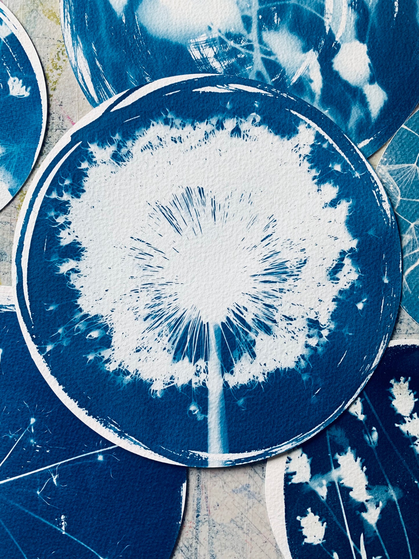 Fuzzy Allium - Brass Framed Circle Cyanotype - 21.5cm Diameter