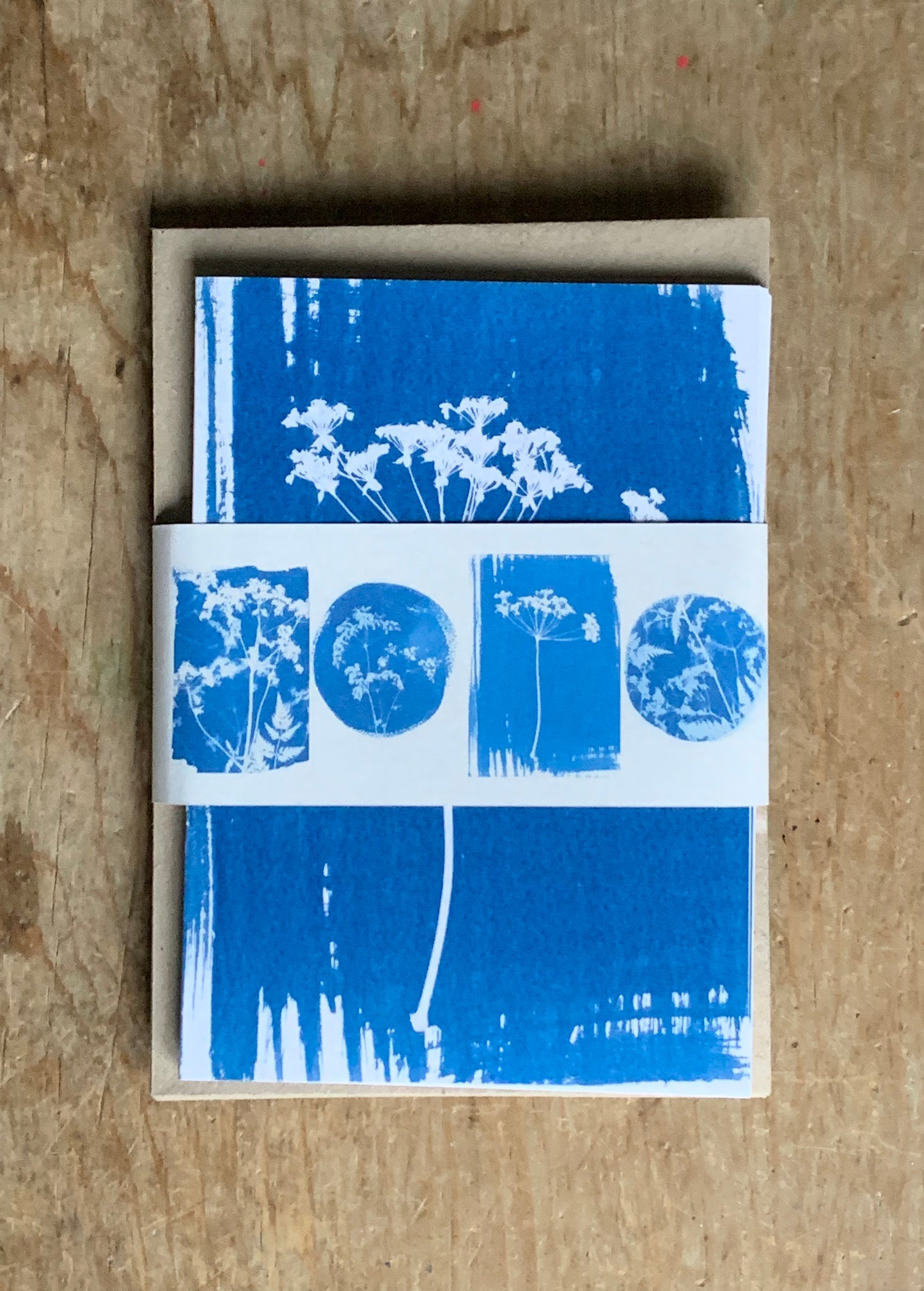 Umbellifers - Cyanotype - Pack of 8