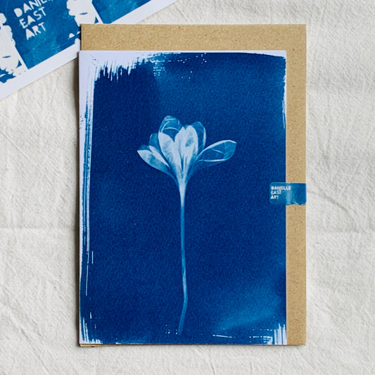 Crocus - Cyanotype - Blank Card