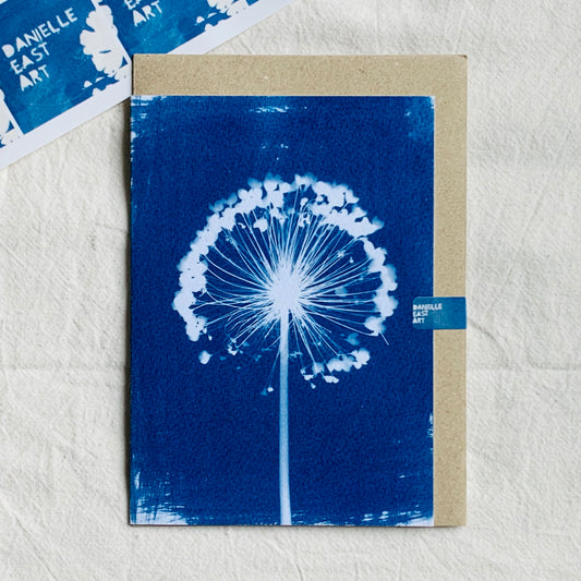 Allium - Cyanotype - Blank Card