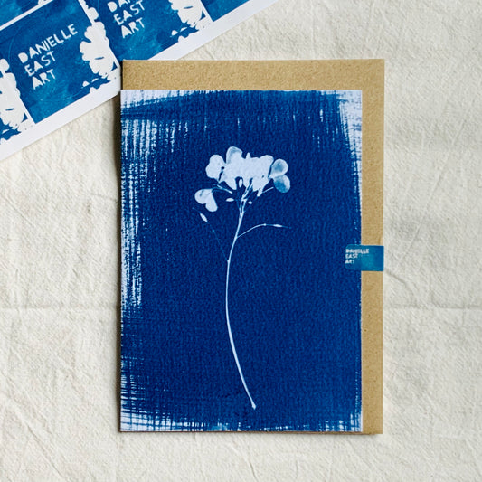 Honesty Stem - Cyanotype - Blank Card