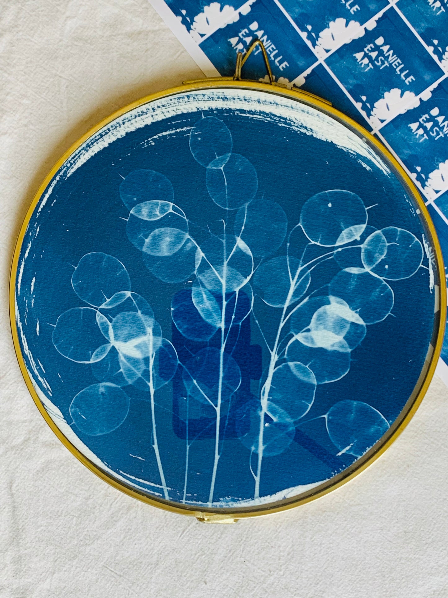 Honesty - Brass Framed Circle Cyanotype - 21.5cm Diameter