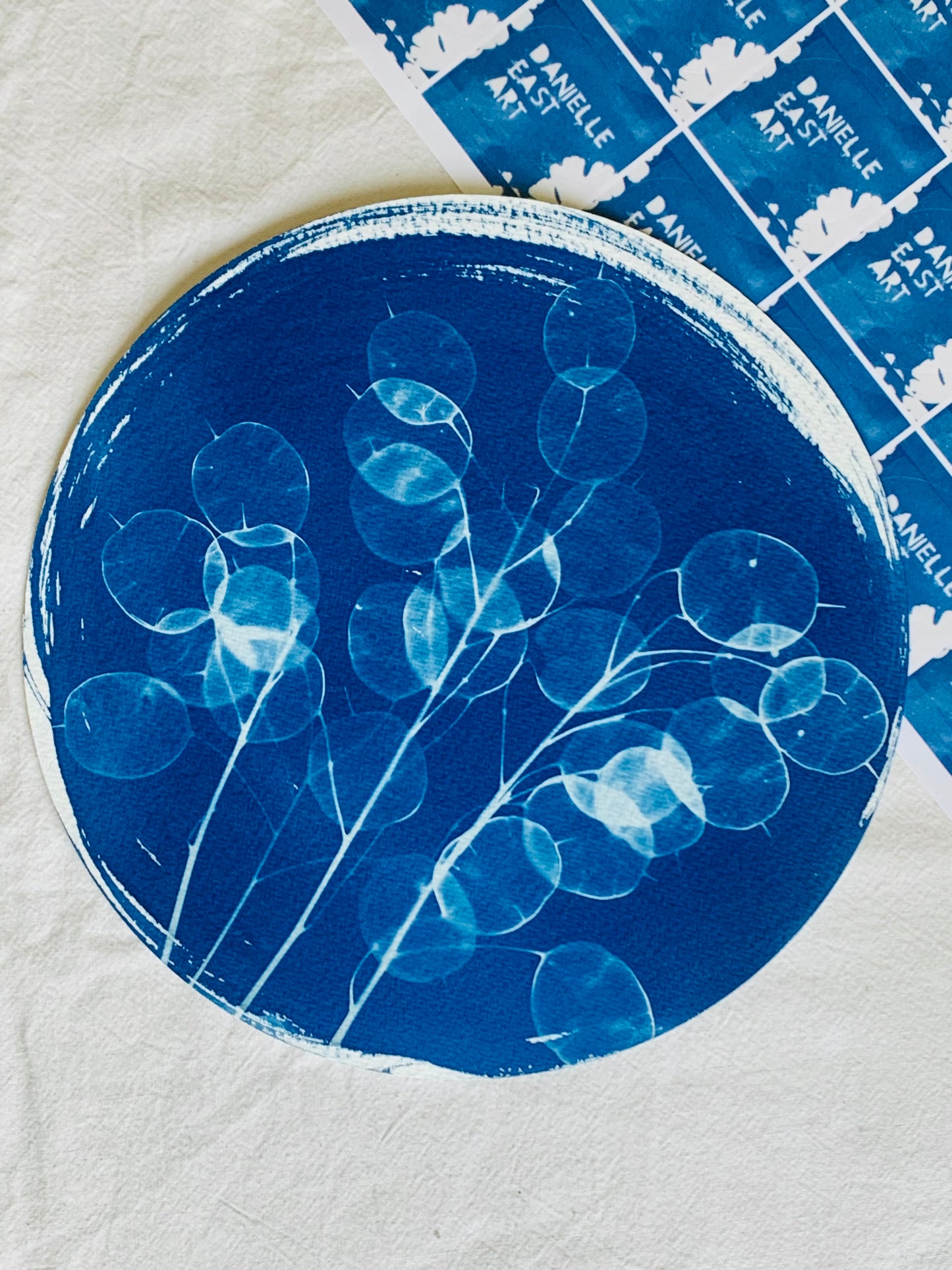 Honesty - Brass Framed Circle Cyanotype - 21.5cm Diameter