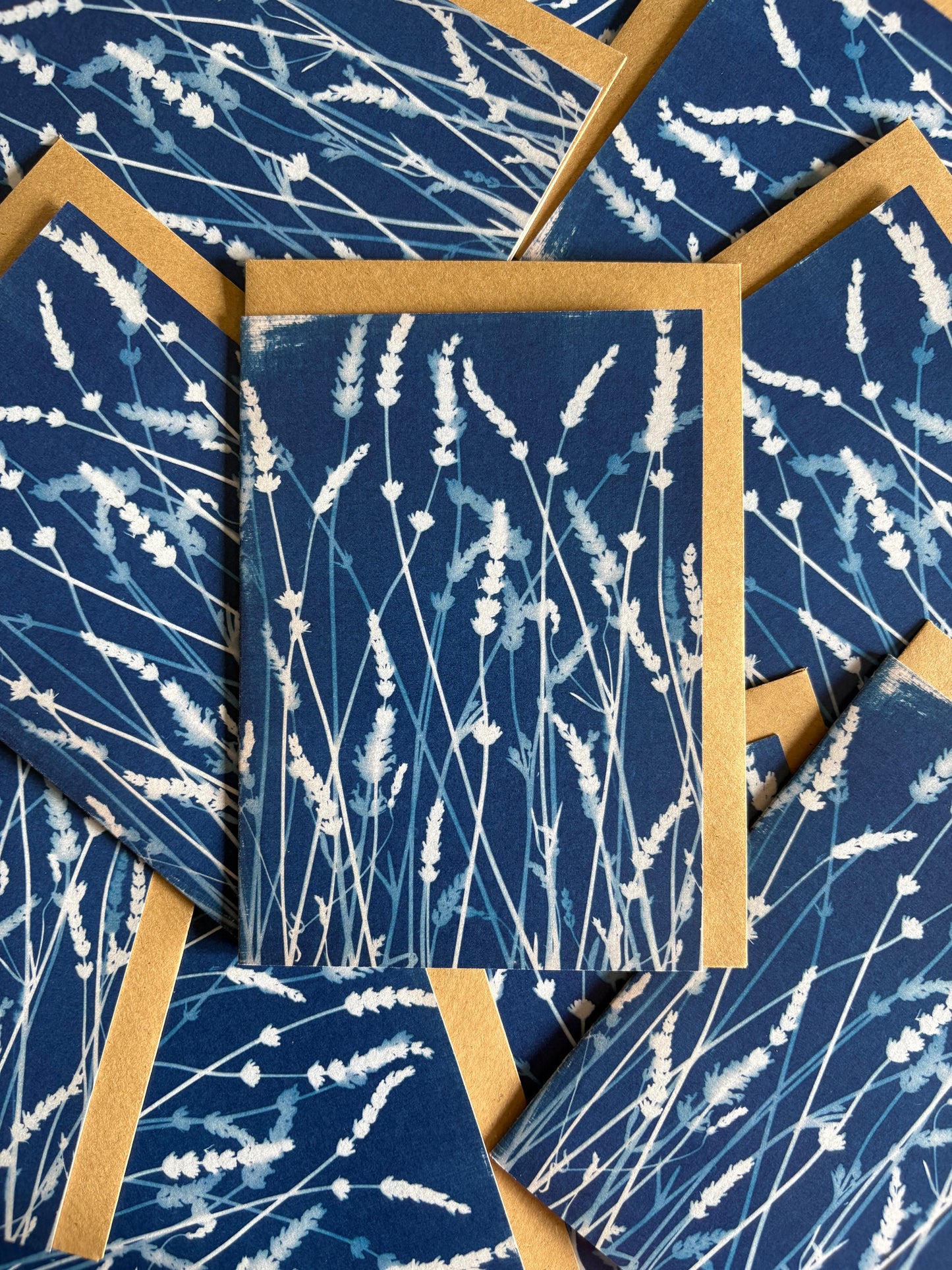 Lavender - Cyanotype - Blank Card