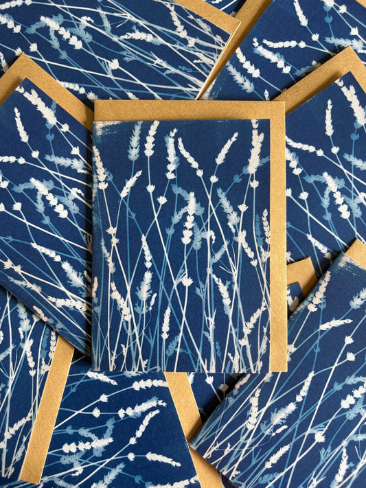 Lavender - Cyanotype - Blank Card