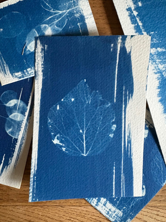 over exposed leaf 14 x 9.5cm - Original Print - SALE