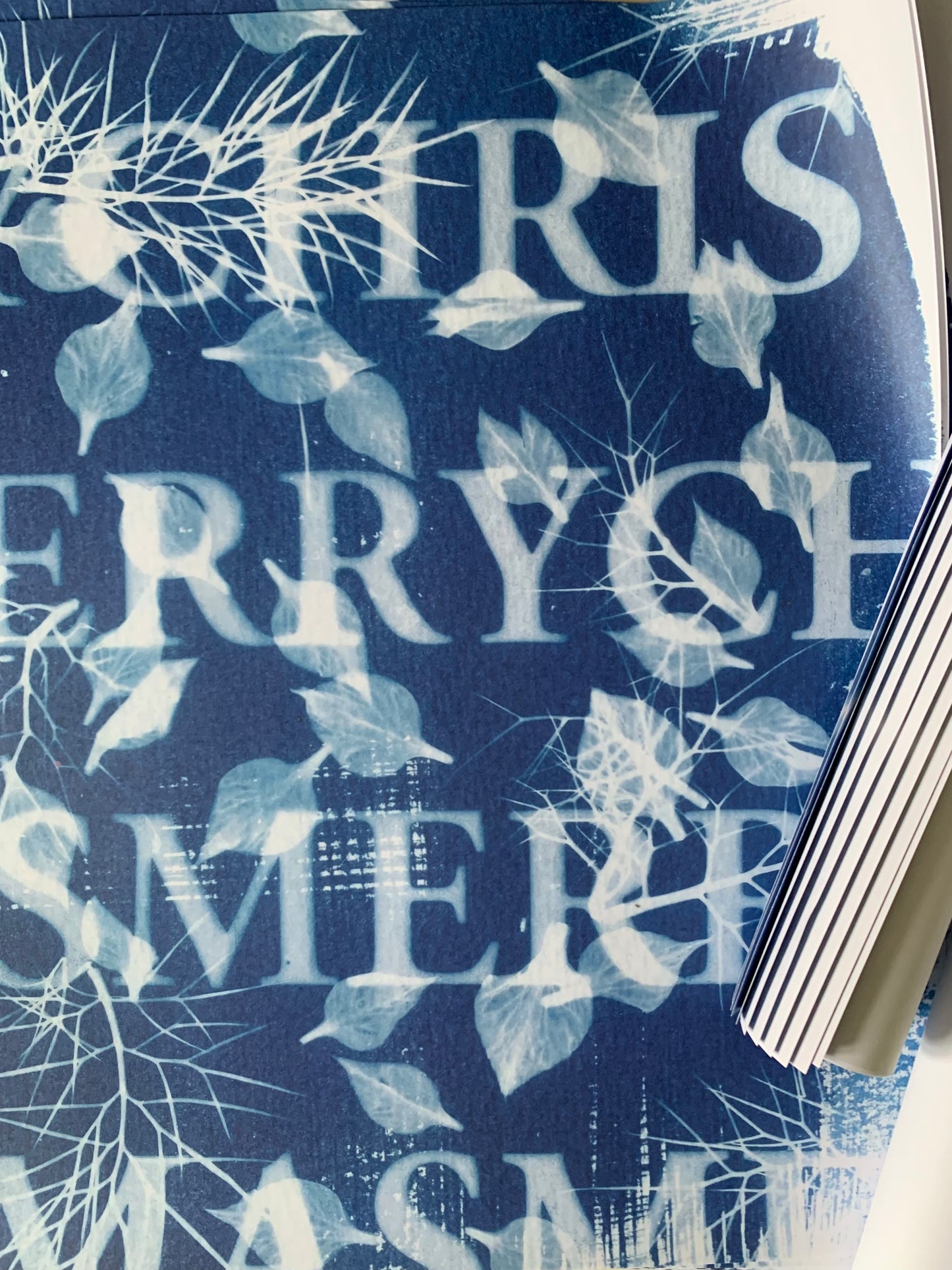 Merry Christmas- Cyanotype - Gift Wrap