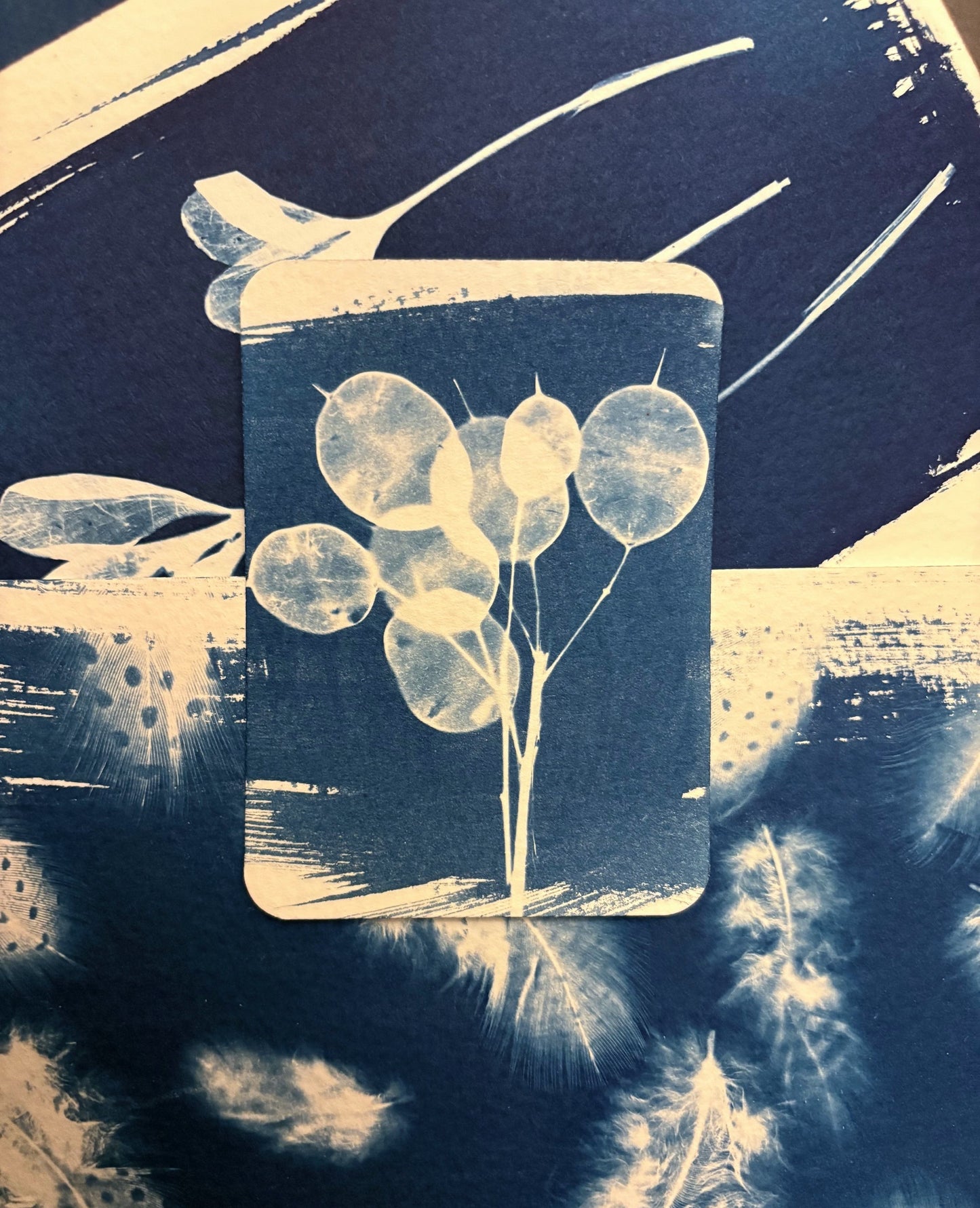 Mini Honesty - 7 x 9.5cm (approx) - Original Print