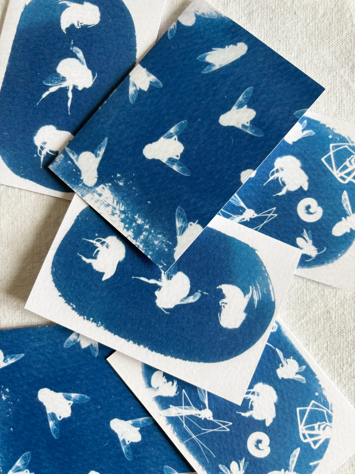 Bugs - Cyanotype -  A7 - Pack of 6