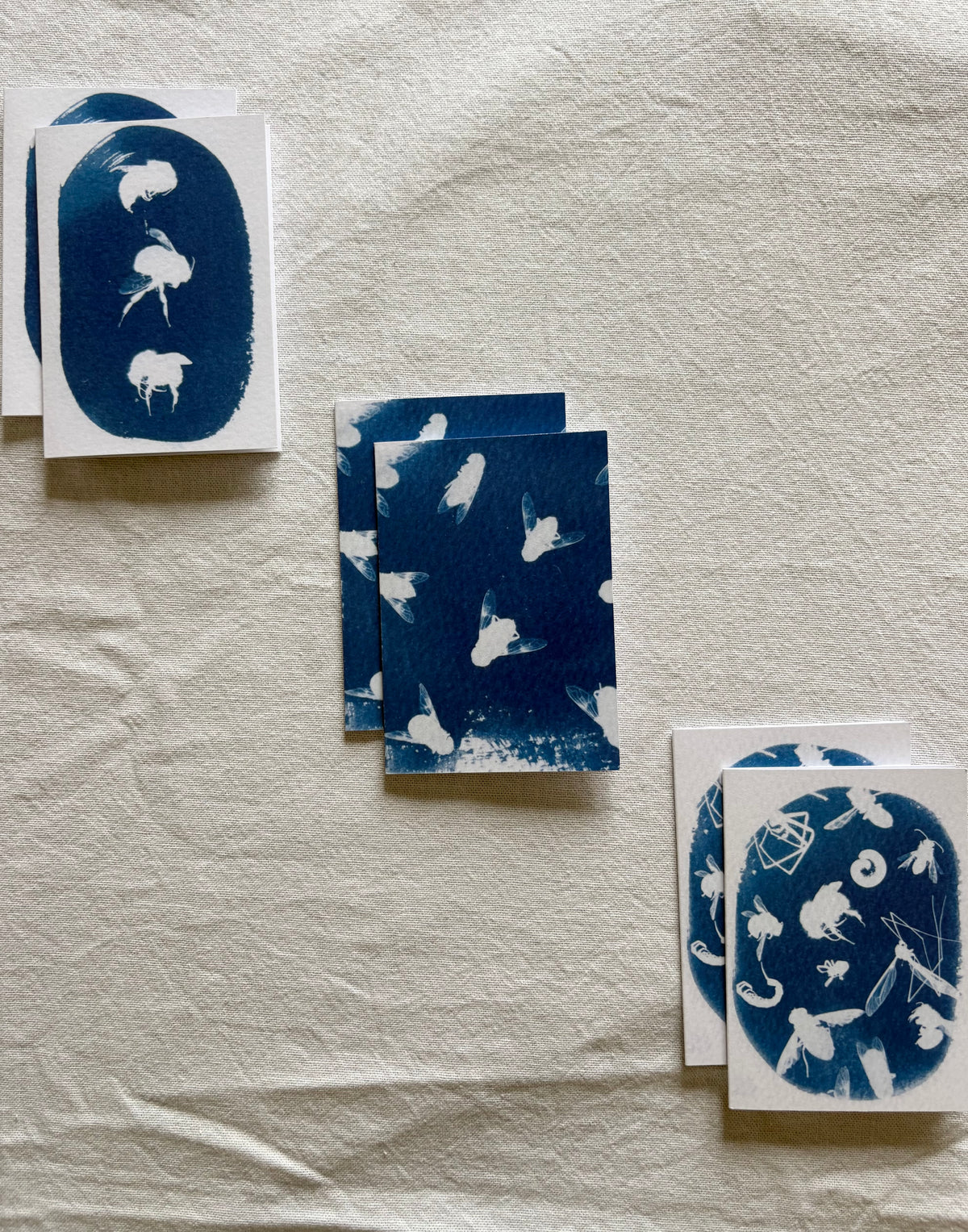 Bugs - Cyanotype -  A7 - Pack of 6