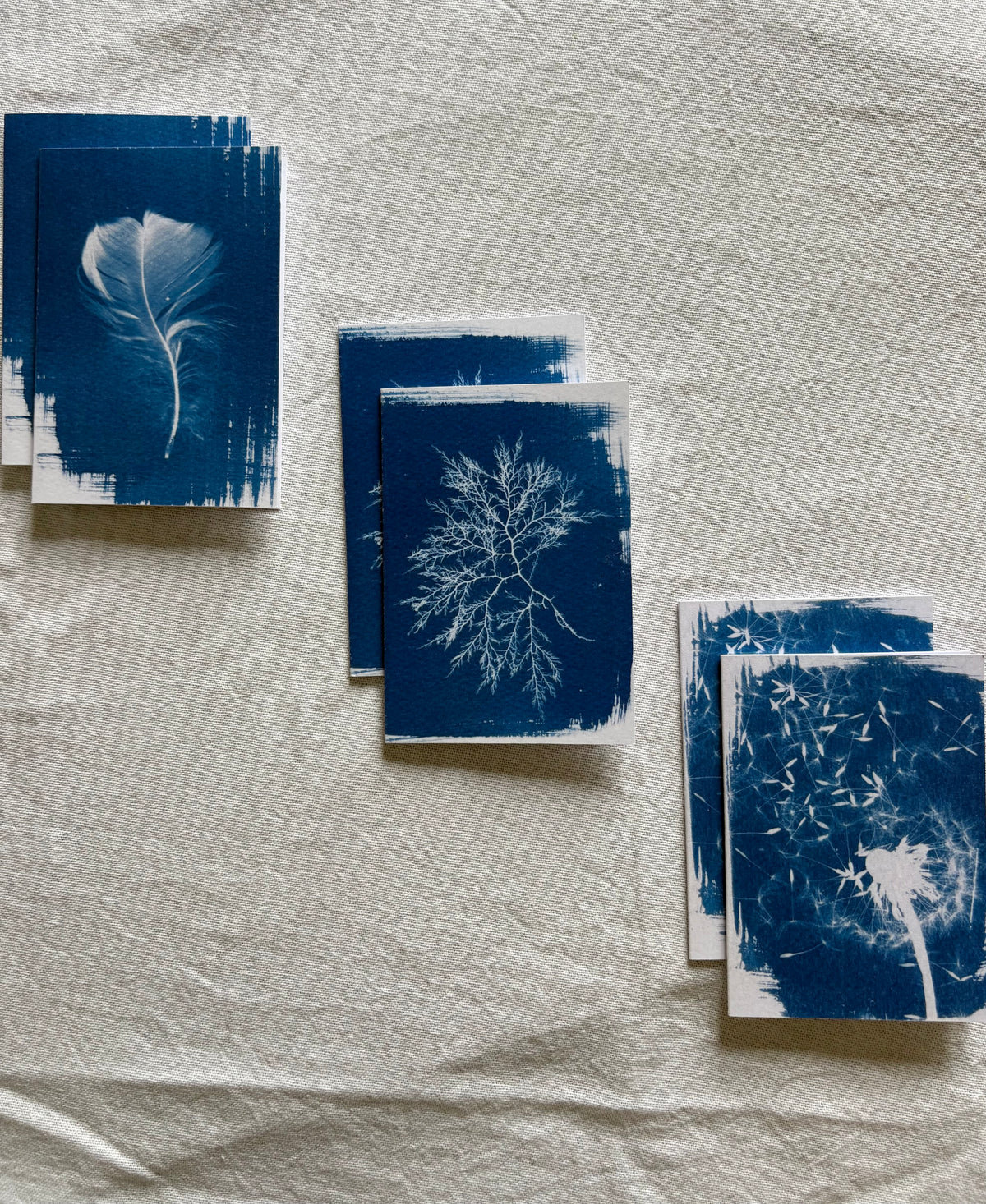 Little Things - Cyanotype -  A7 - Pack of 6