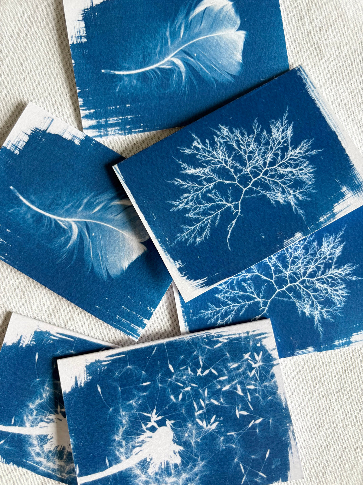 Little Things - Cyanotype -  A7 - Pack of 6