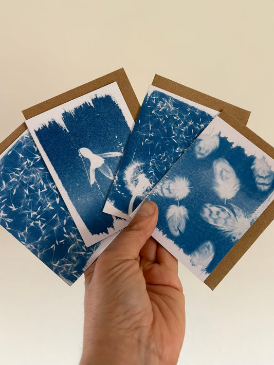 Set of 8 Mini Cyanotype Cards