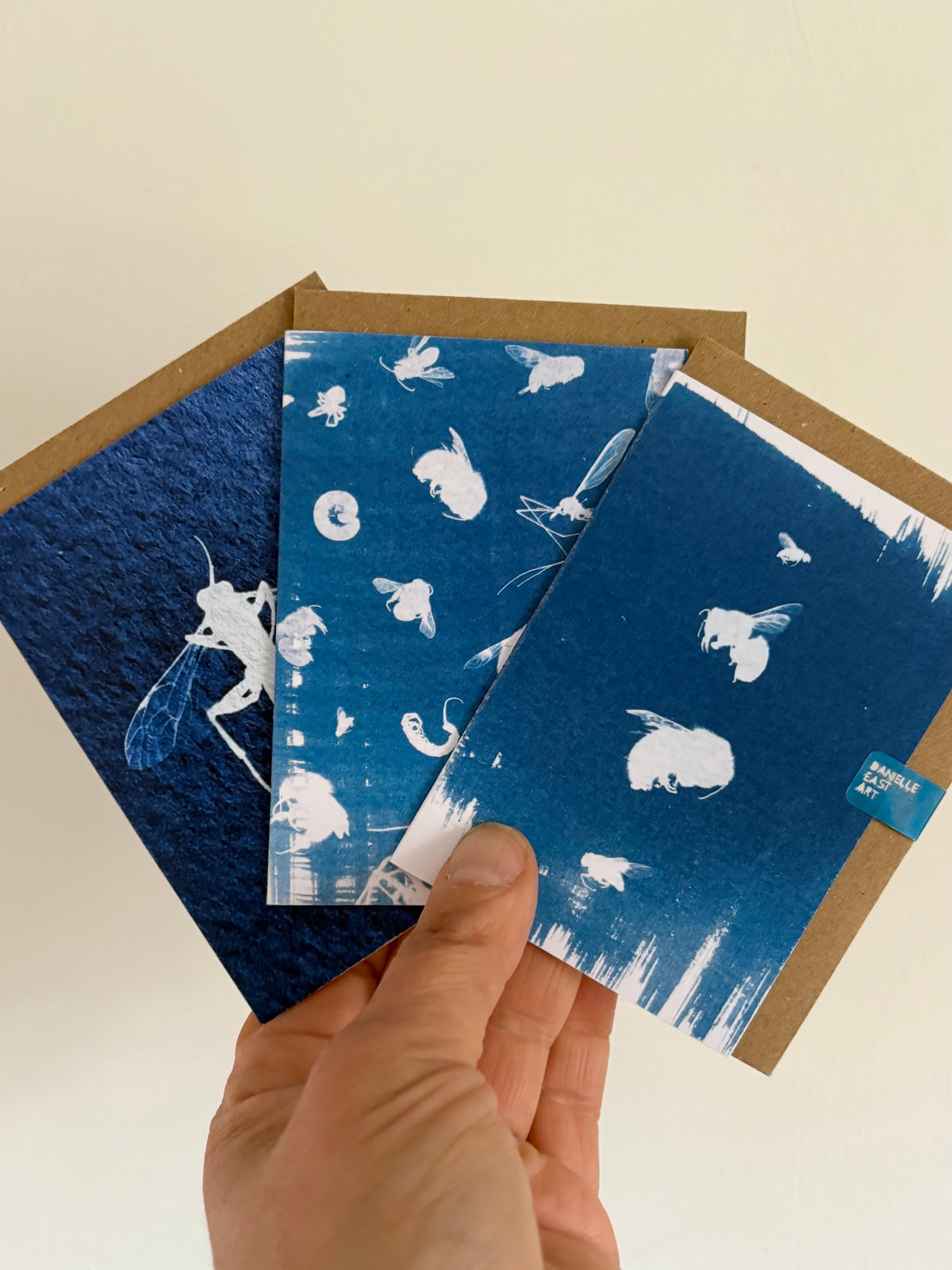 Set of 3 Mini Bug Cyanotype Cards