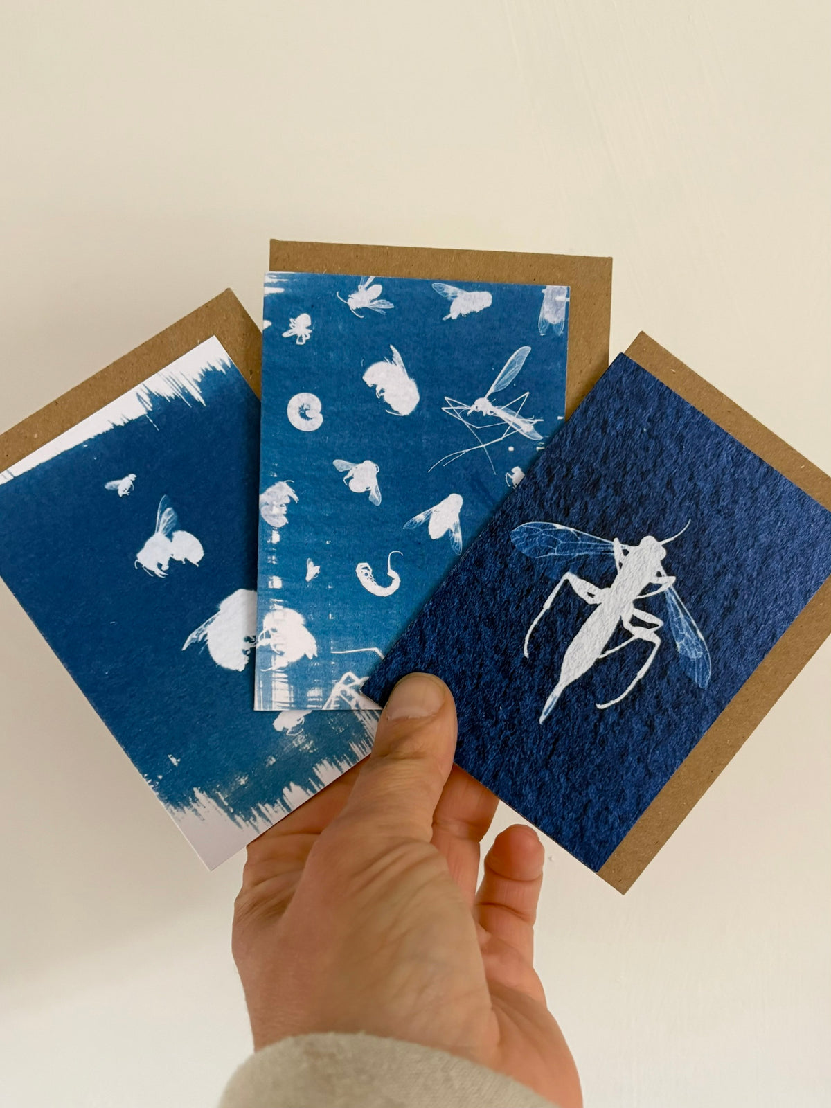 Set of 3 Mini Bug Cyanotype Cards