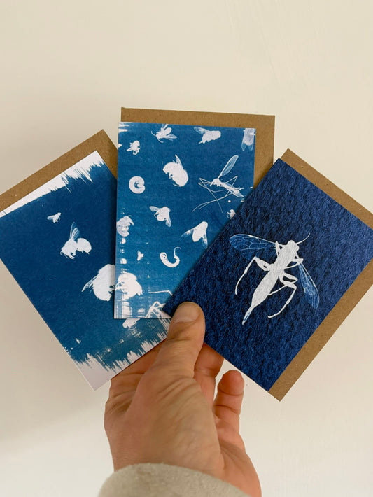 Set of 3 Mini Bug Cyanotype Cards