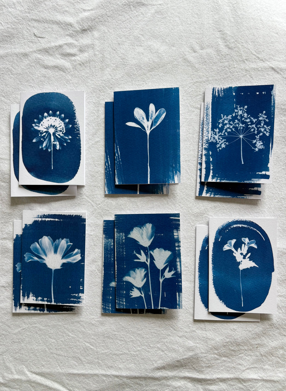 Floral - Cyanotype -  A7 - Pack of 12