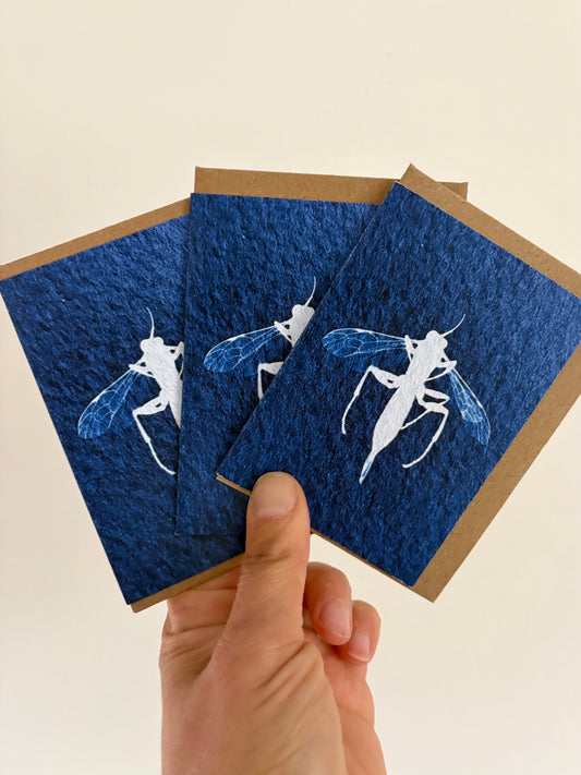 Pack of 3 Slip Wasp Mini Cyanotype Cards - FOR THE PRICE OF ONE