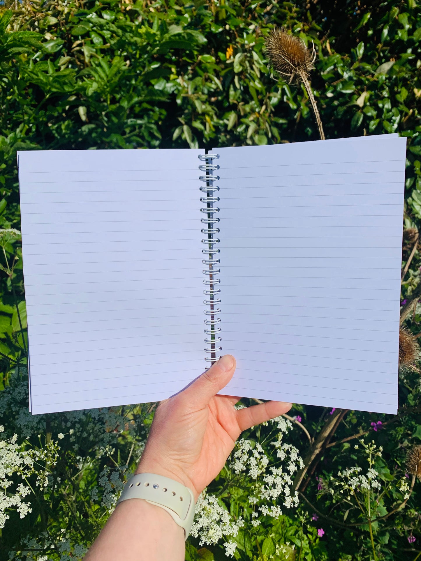 Honesty Cyanotype - Spiral bound Notebook - 60 pages