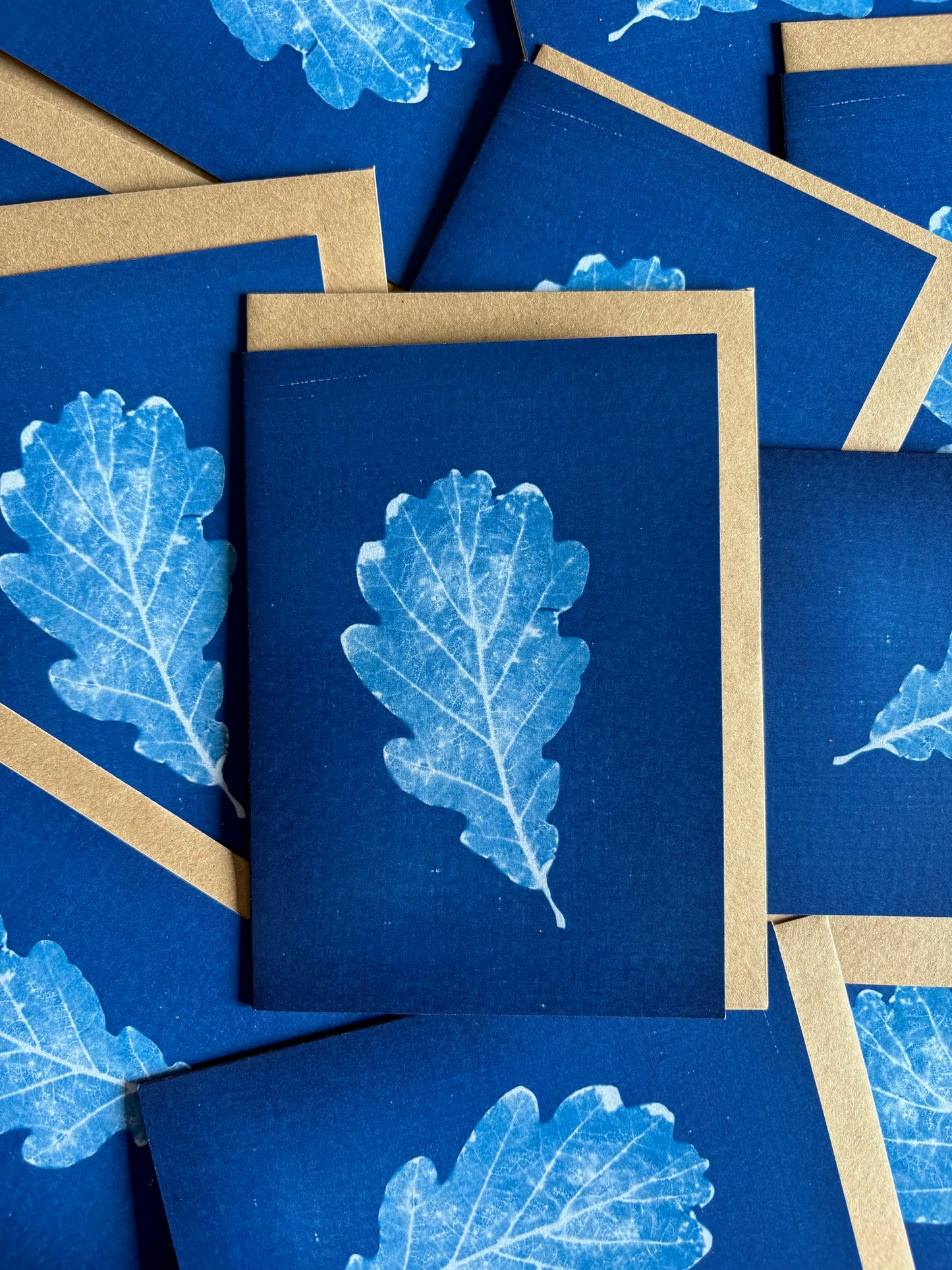 Oak Leaf - Cyanotype - Blank Card