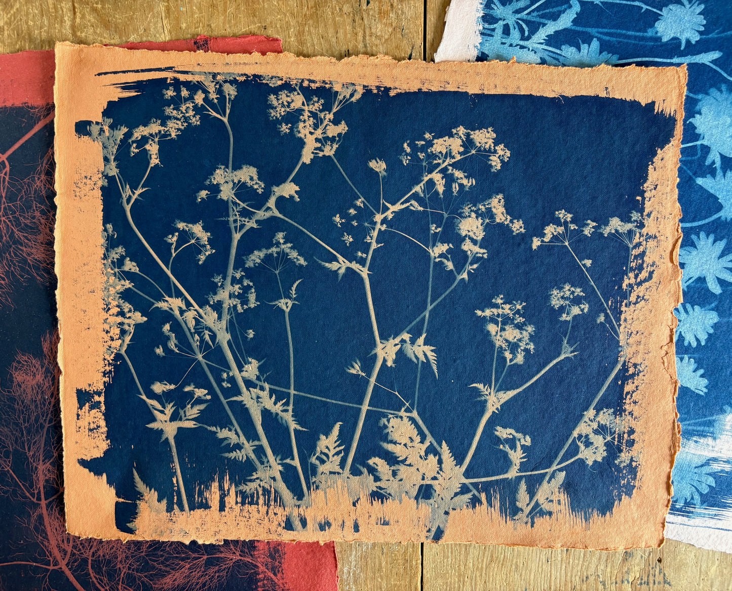 Orange Cow Parsley (40x52cm) Original Print