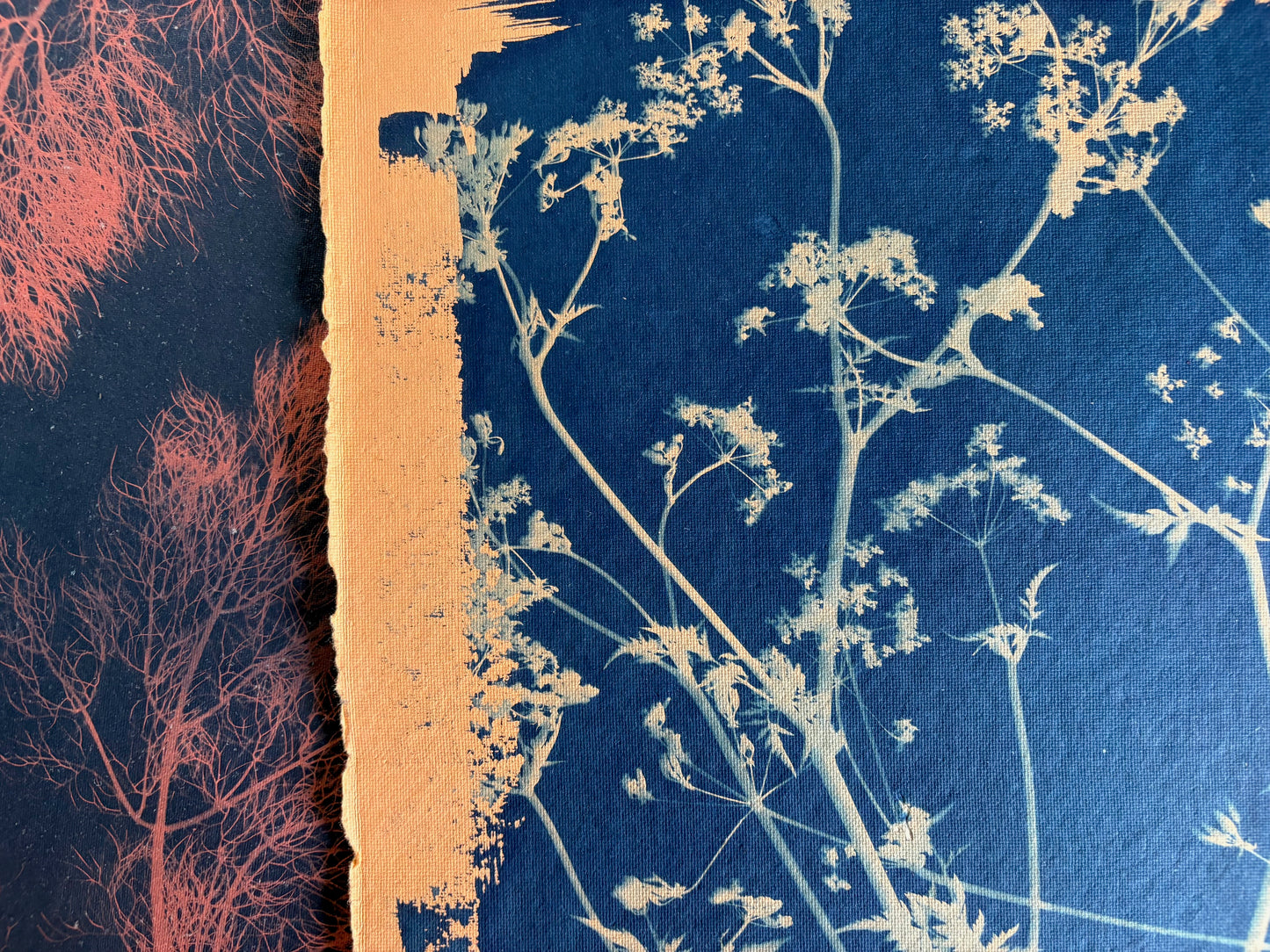 Orange Cow Parsley (40x52cm) Original Print