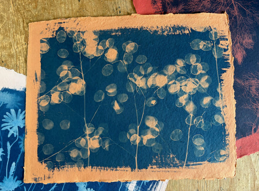 Orange Honesty (40x52cm) Original Print