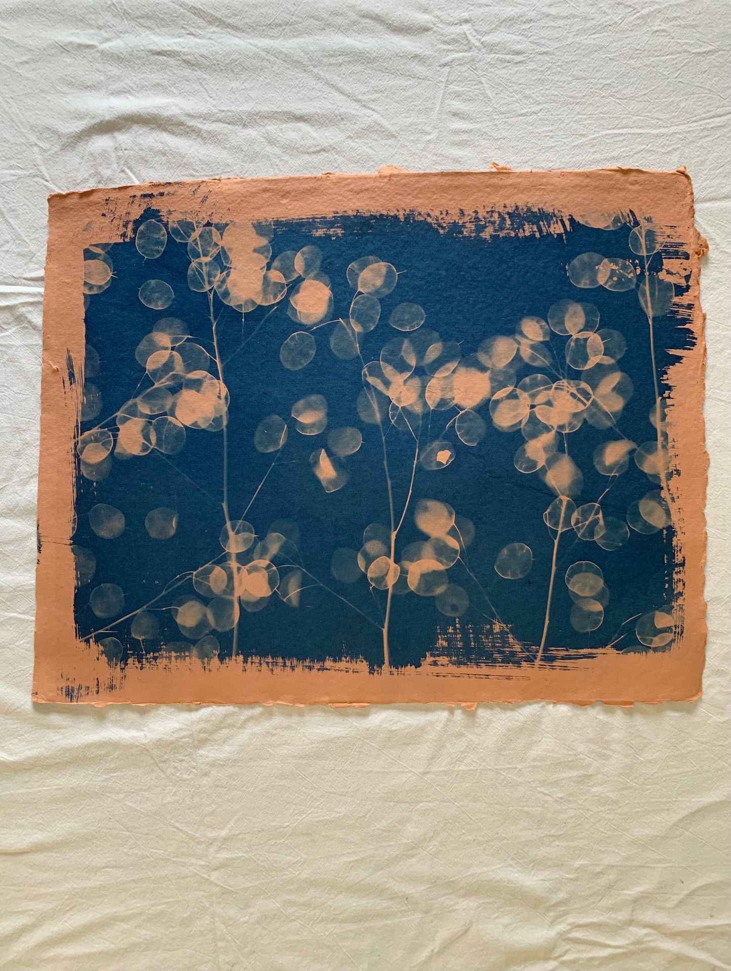 Orange Honesty (40x52cm) Original Print