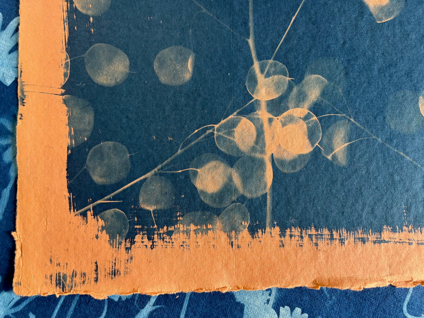 Orange Honesty (40x52cm) Original Print