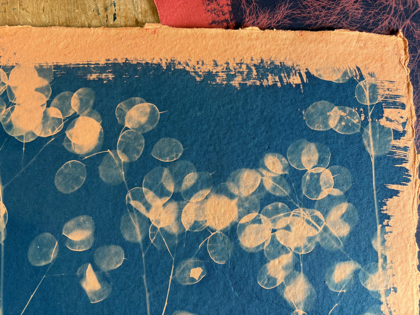 Orange Honesty (40x52cm) Original Print