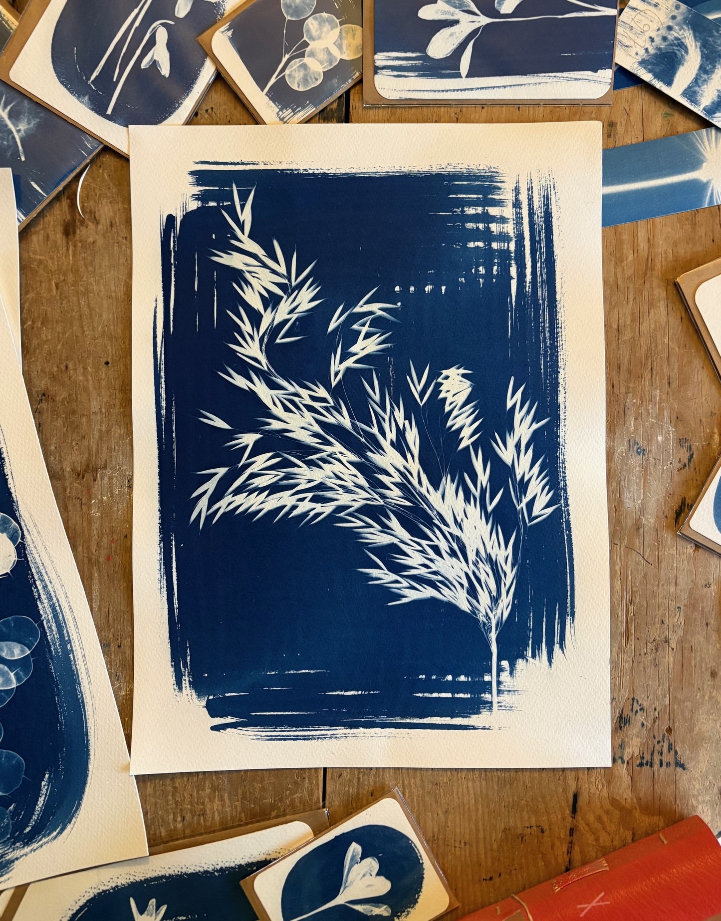 Ornamental Grass 38x28cm Original Cyanotype Print