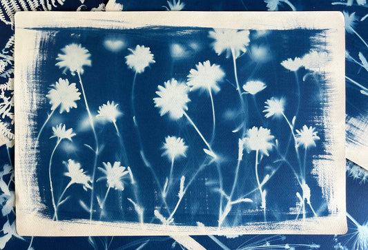 Ox Eye Landscape (15x22") Original Print