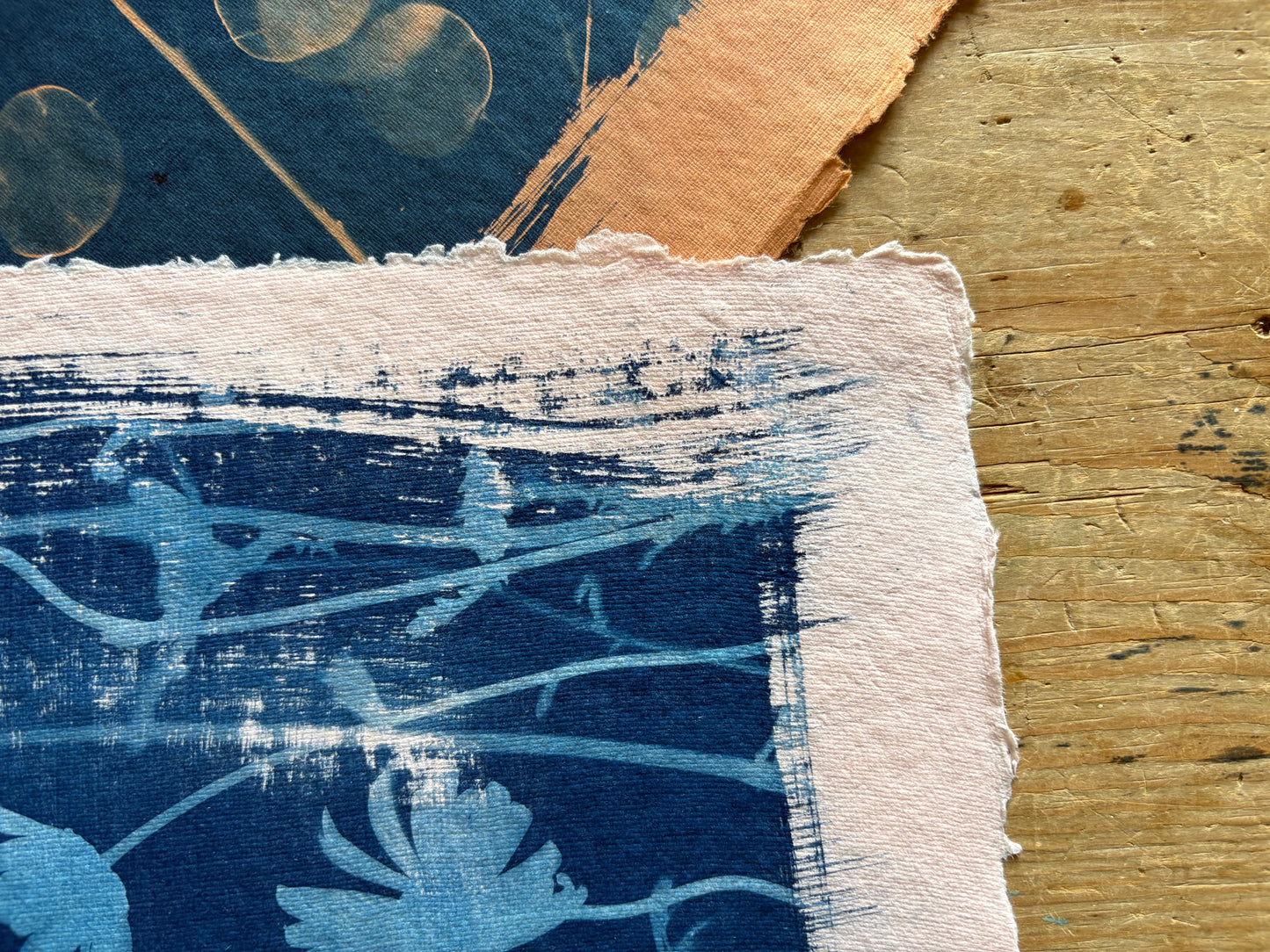 Pale Pink Ox Eye Daisies(40x52cm) Original Print