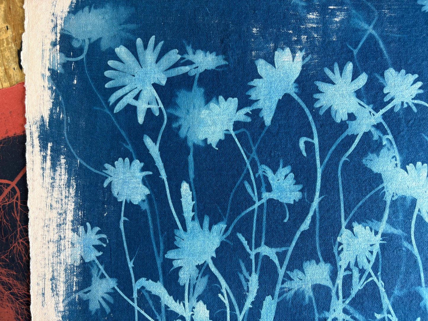 Pale Pink Ox Eye Daisies(40x52cm) Original Print