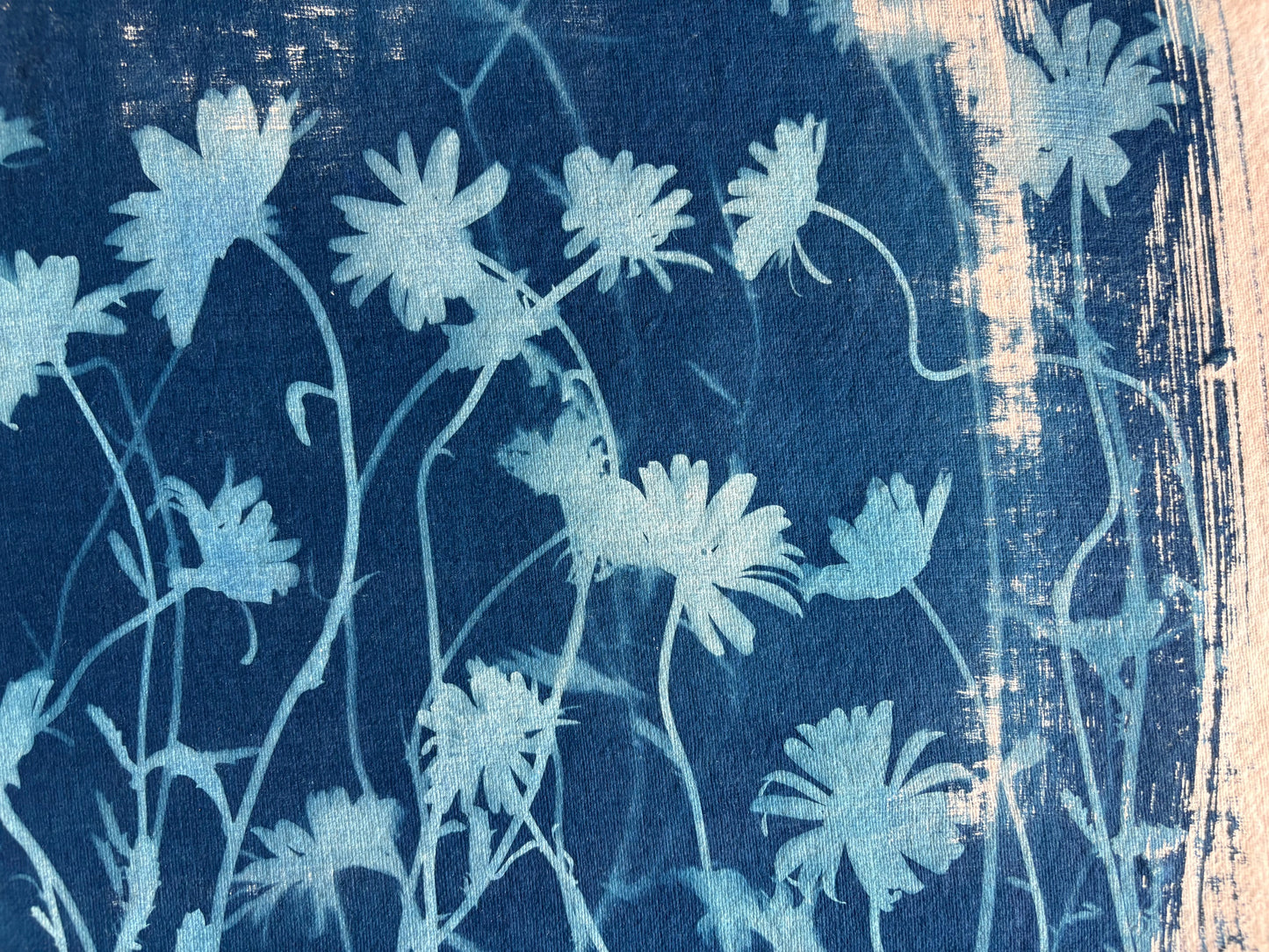 Pale Pink Ox Eye Daisies(40x52cm) Original Print