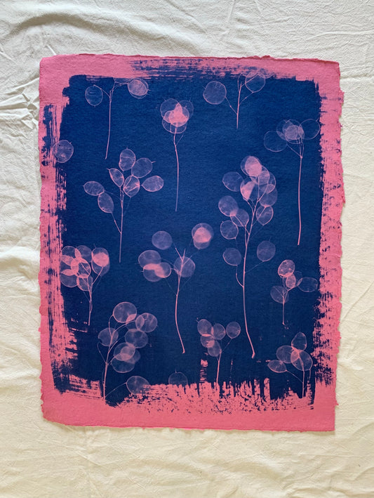 Pink Honesty (40x52cm) Original Print