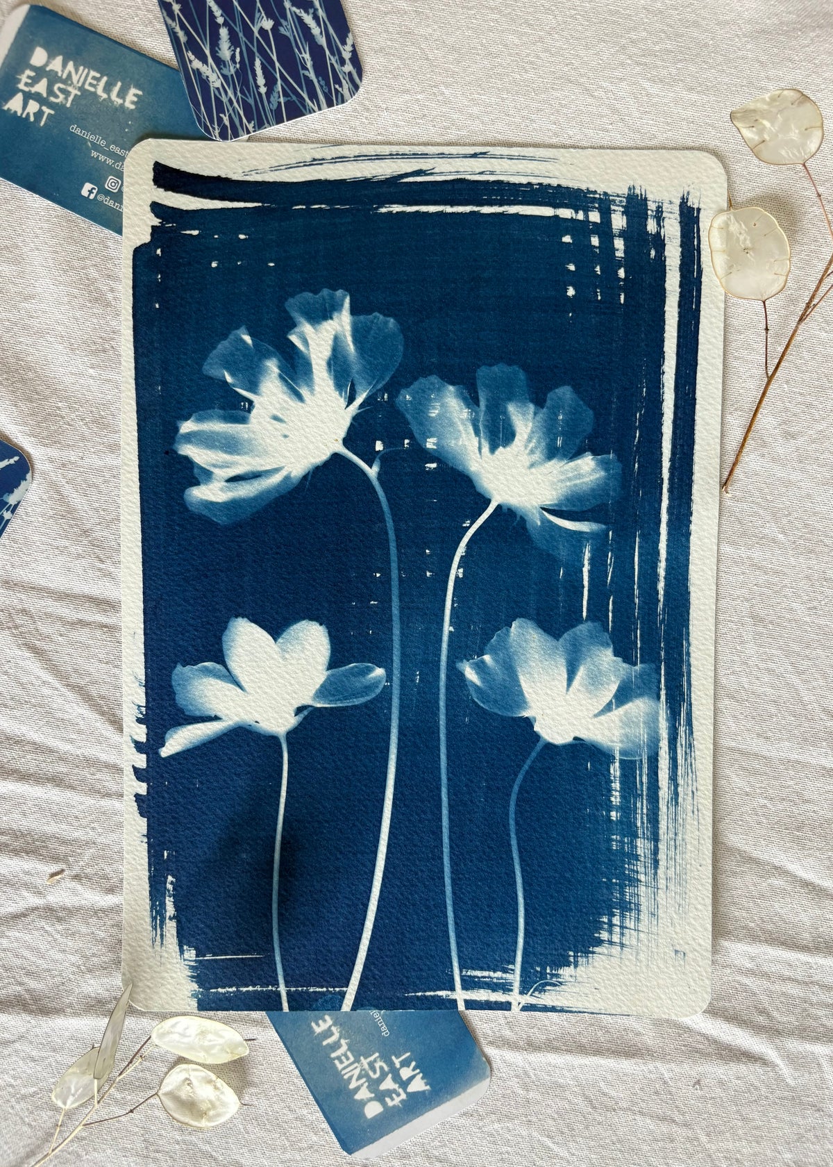 Cosmos 4 19x28cm - Original Print
