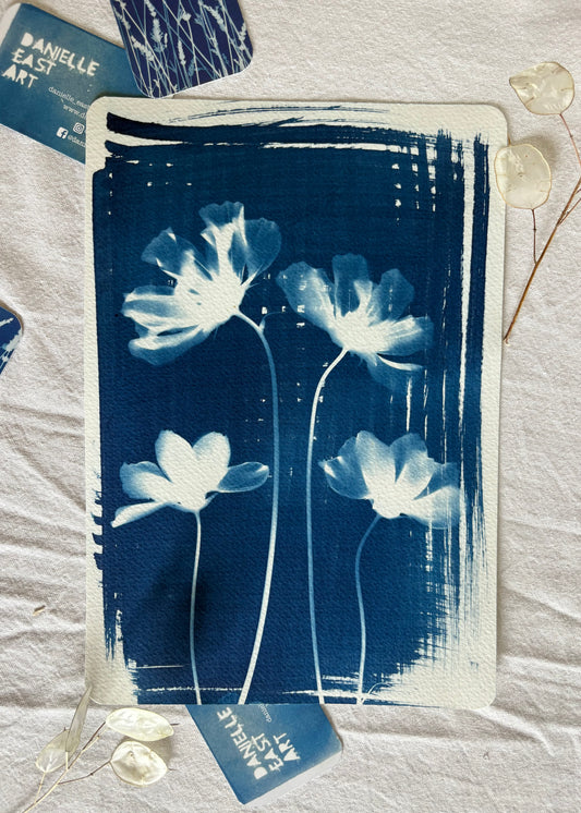 Cosmos 4 19x28cm - Original Print