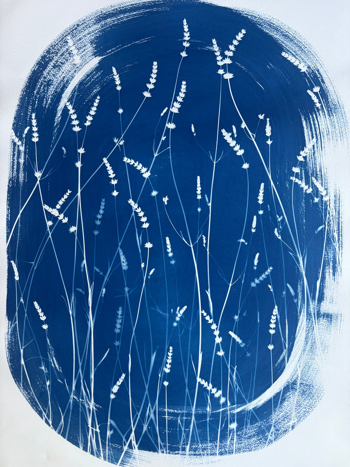 Lavender Oval (22x30") Original Print
